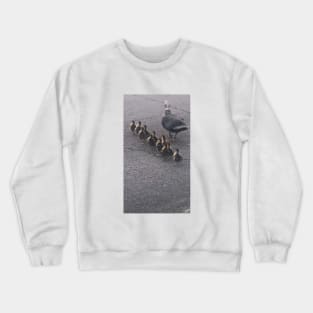 Lovely ducks Crewneck Sweatshirt